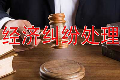 无赔偿能力诉讼困境应对策略